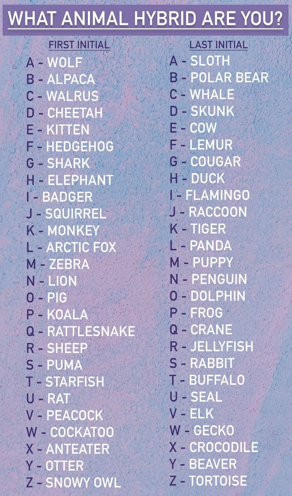 Christmas Pet Name Generator Helps You Find Festive Pet Names